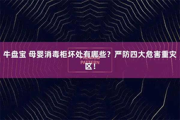 牛盘宝 母婴消毒柜坏处有哪些？严防四大危害重灾区！