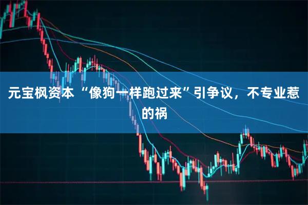 元宝枫资本 “像狗一样跑过来”引争议,不专业惹的祸